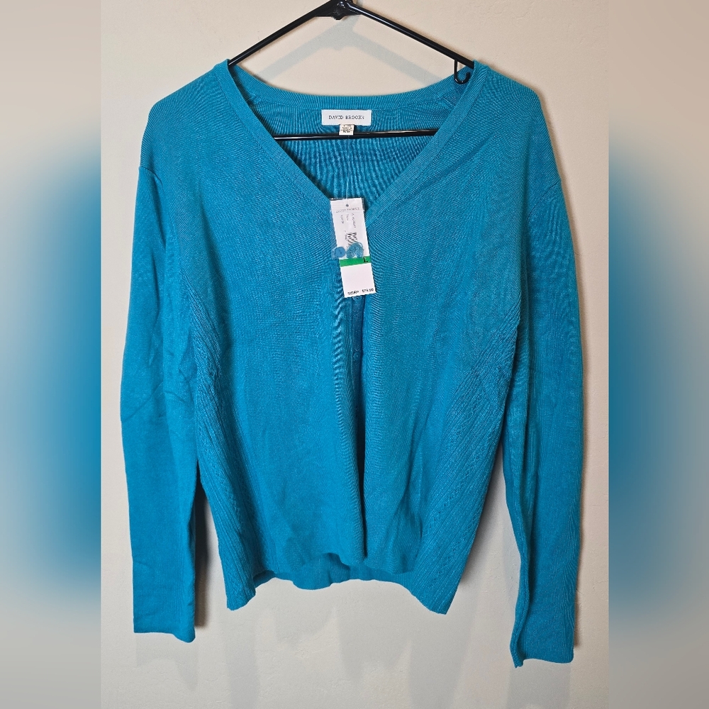 David Brooks Women's Teal V-Neck Sweater NWT
